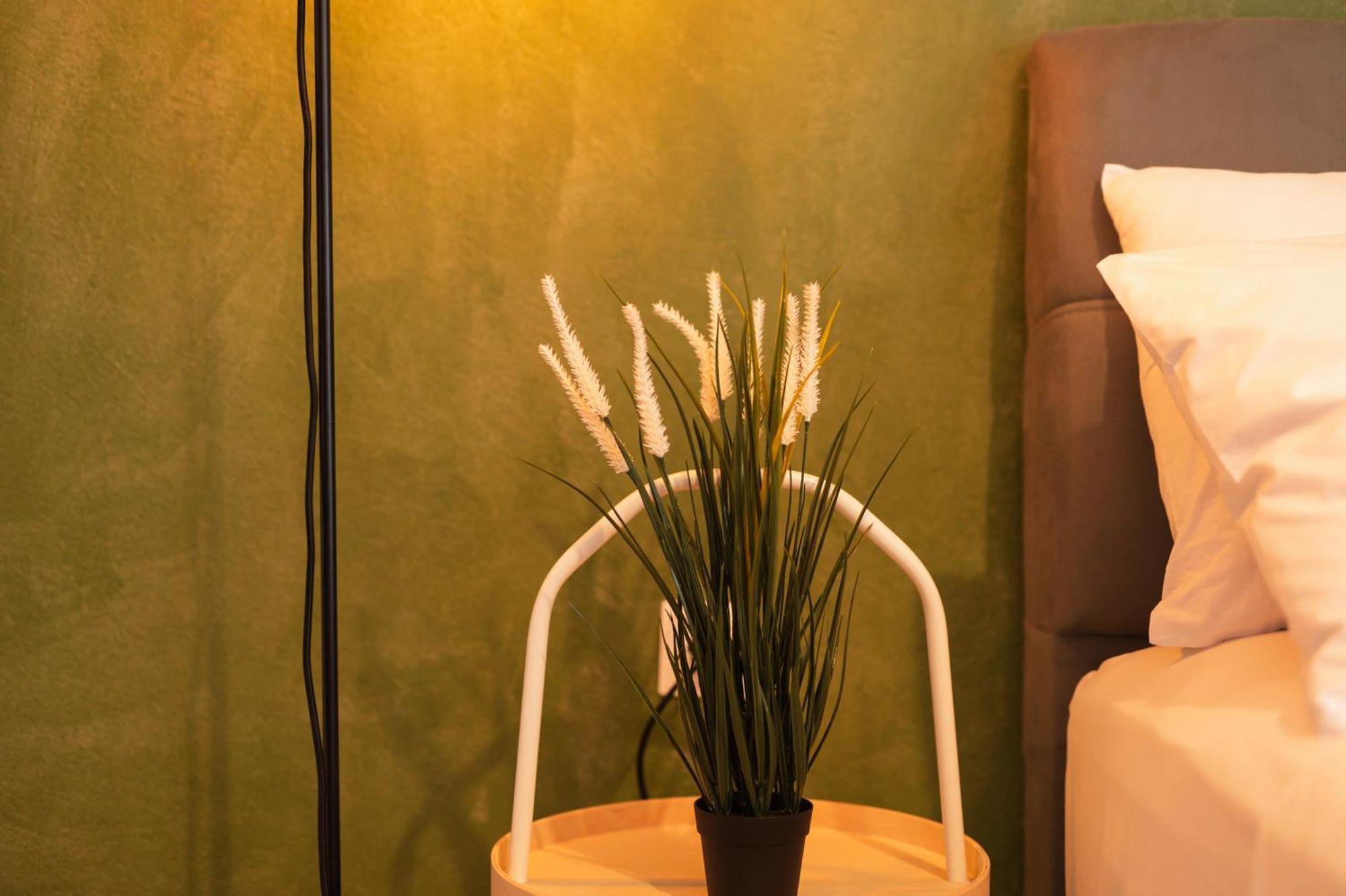 Ancient Forest Suite By Heeaven'S Hall Luxury Suites Aleksandropolis Zewnętrze zdjęcie